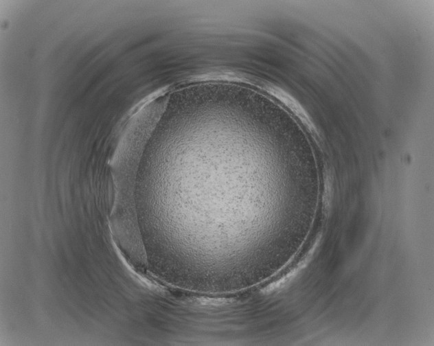 X0000083580849200702231653