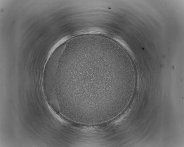 X0000083580850200702231653