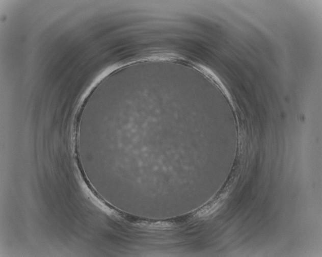 X0000083580851200702231653