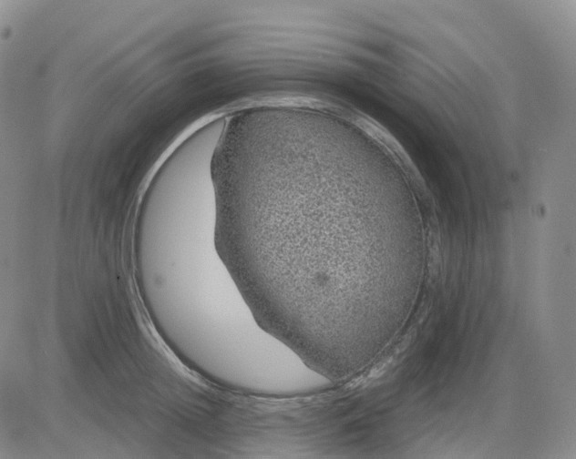 X0000083580852200702231653