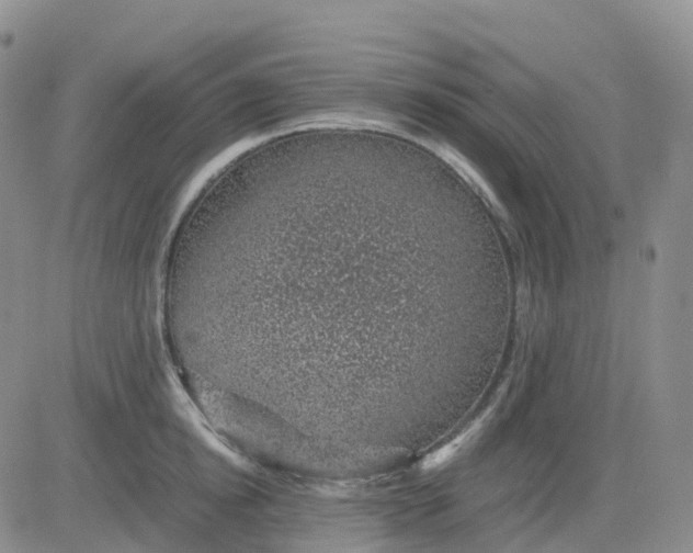 X0000083580854200702231653