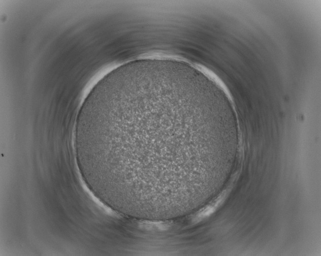 X0000083580855200702231653