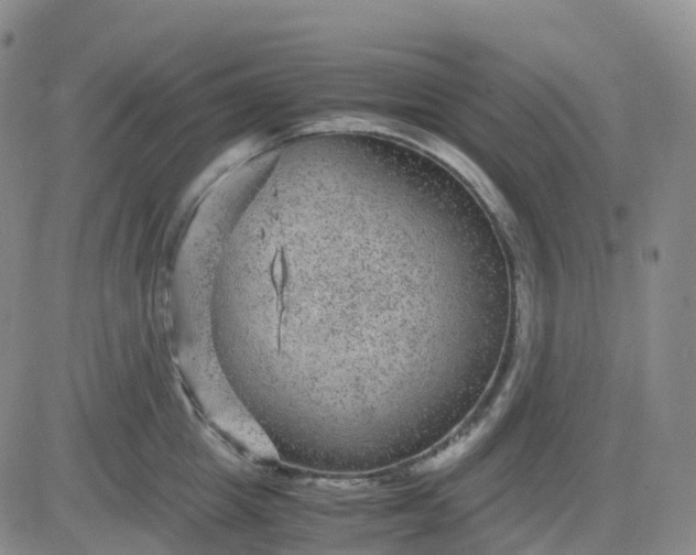 X0000083580857200702231653