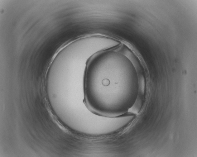 X0000083580858200702231653