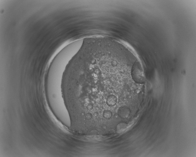 X0000083580859200702231653