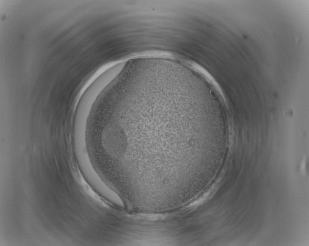 X0000083580860200702231653