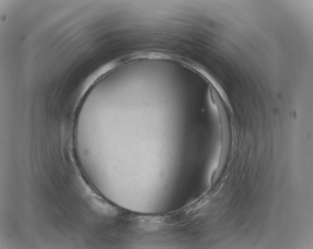 X0000083580861200702231653