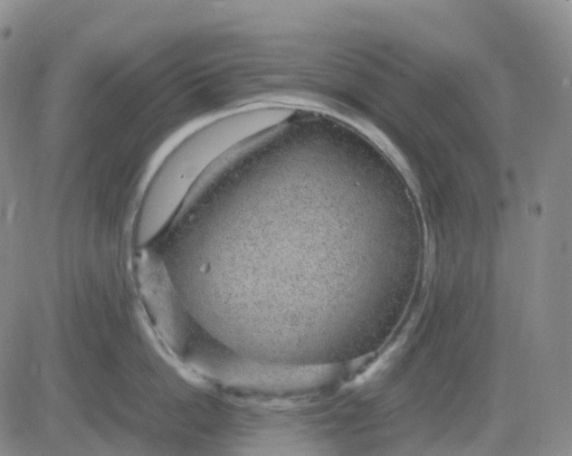 X0000083580862200702231653