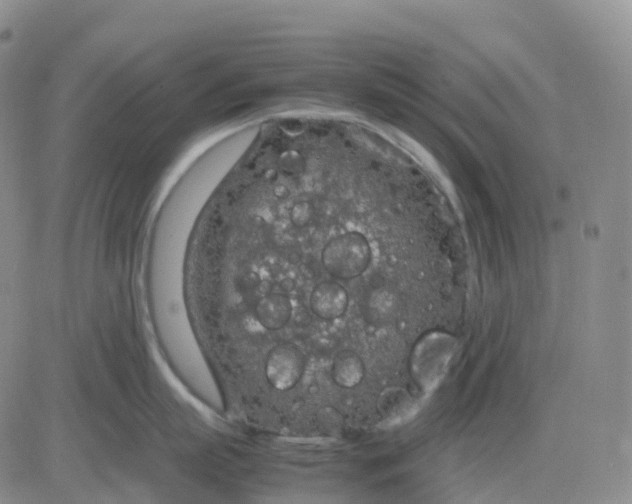 X0000083580863200702231653