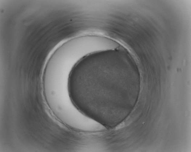 X0000083580864200702231653