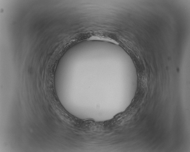 X0000083580865200702231653