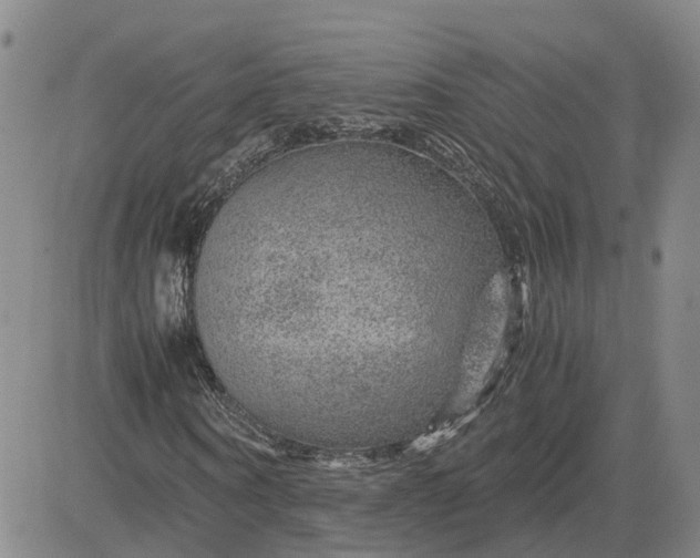 X0000083580866200702231653