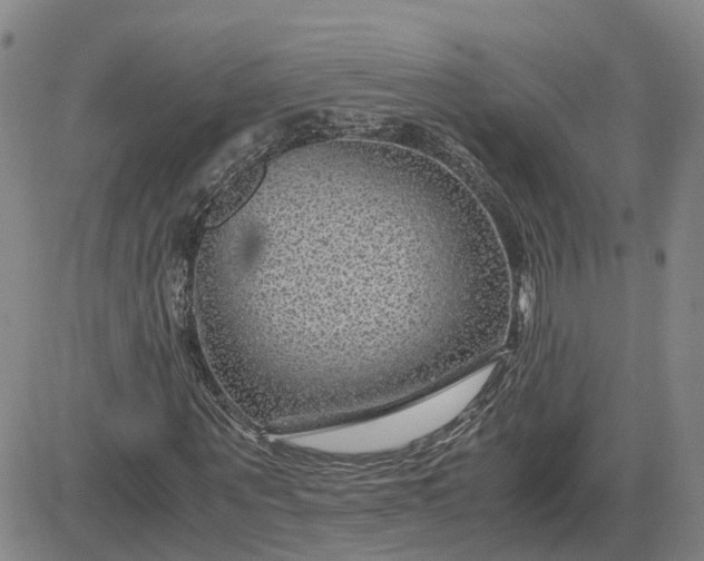 X0000083580867200702231653