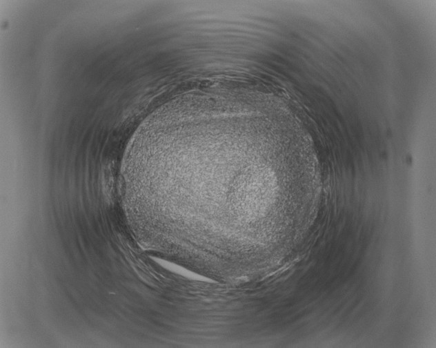 X0000083580868200702231653