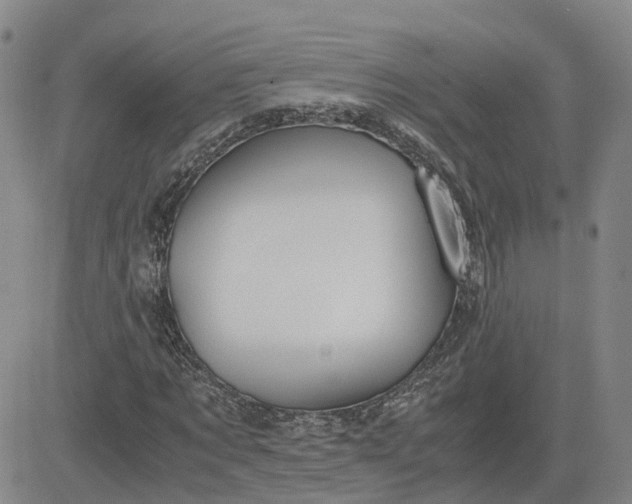 X0000083580869200702231653