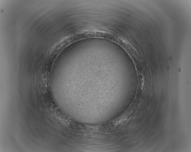 X0000083580870200702231653