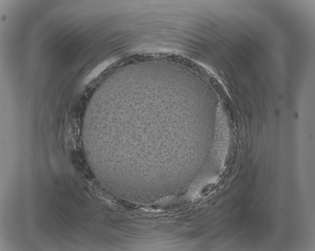 X0000083580871200702231653