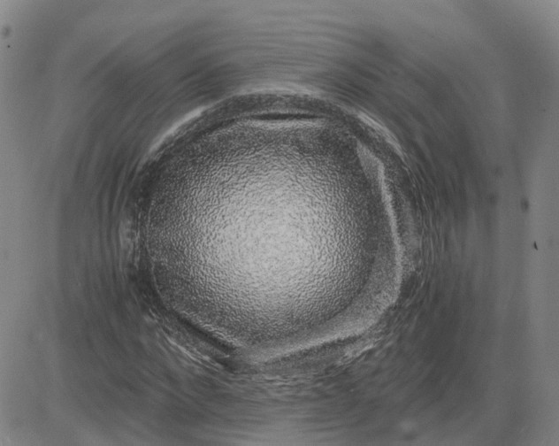 X0000083580872200702231652