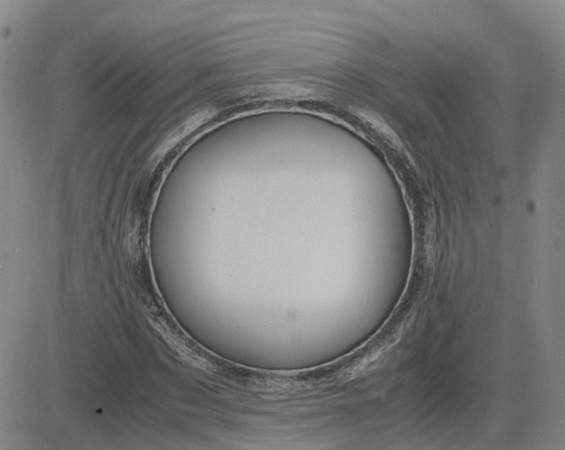 X0000083580873200702231652