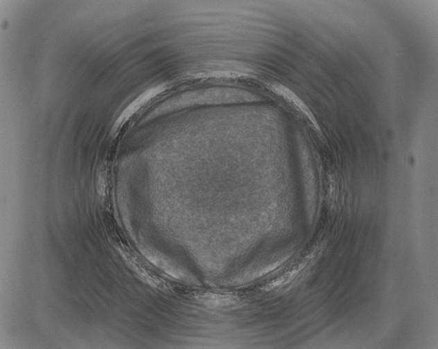 X0000083580874200702231652