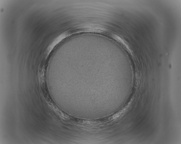 X0000083580875200702231652