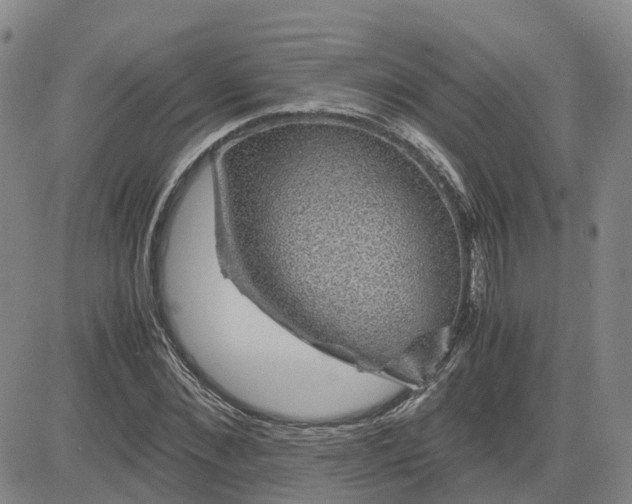 X0000083580876200702231652