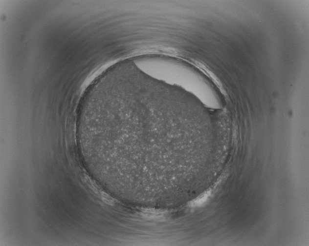 X0000083580877200702231652