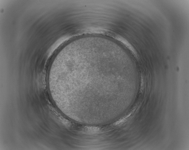 X0000083580878200702231652