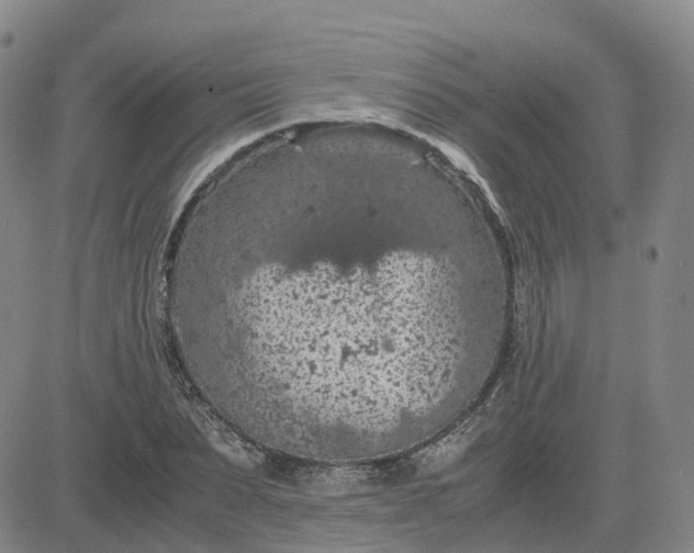 X0000083580879200702231652