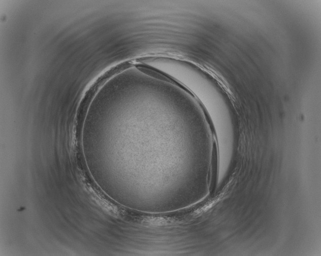 X0000083580880200702231652