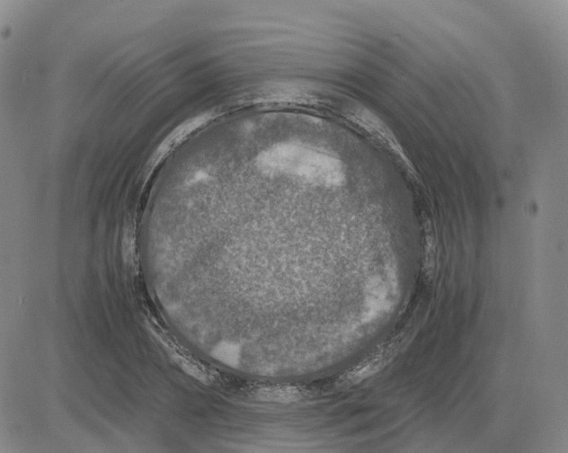 X0000083580882200702231652