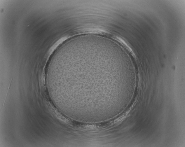 X0000083580883200702231652