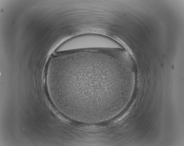 X0000083580885200702231652