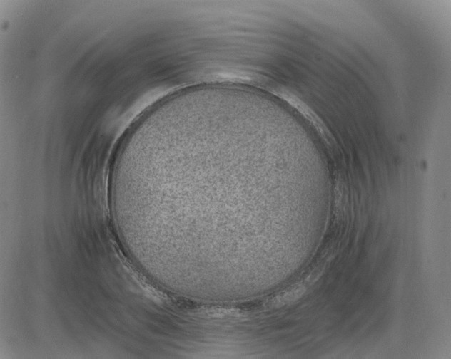 X0000083580886200702231652