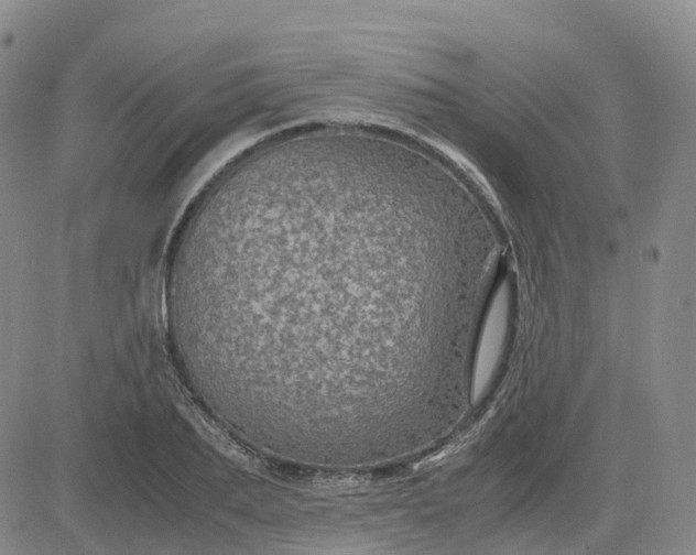 X0000083580887200702231652