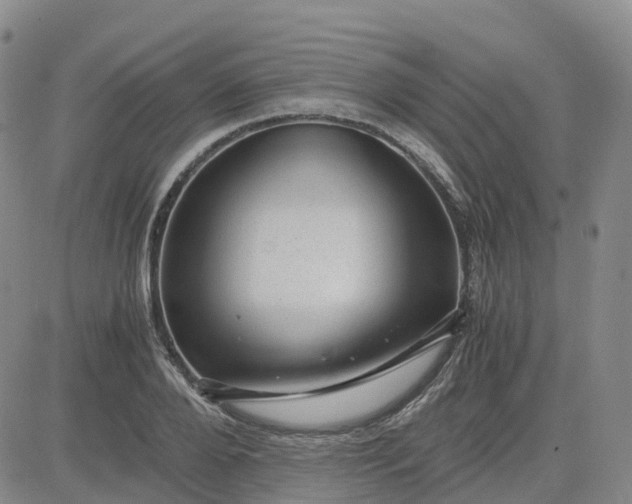 X0000083580888200702231652