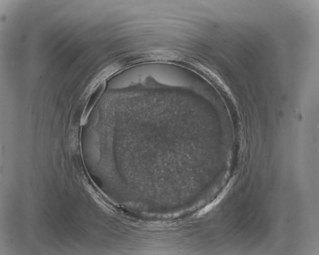 X0000083580889200702231652