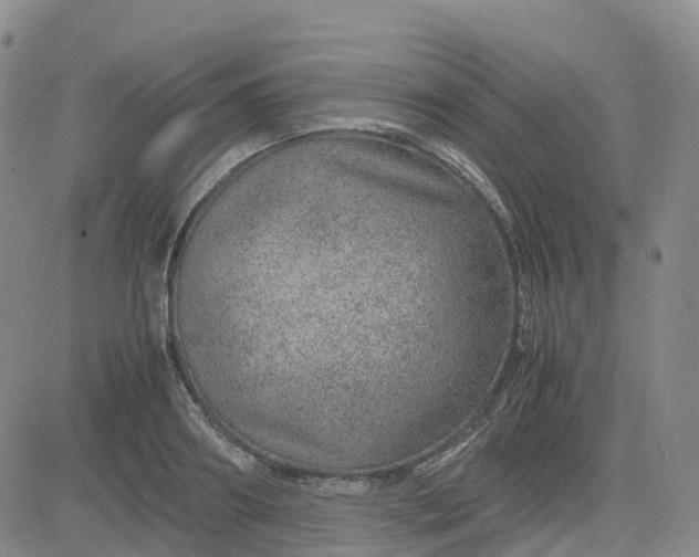 X0000083580890200702231652