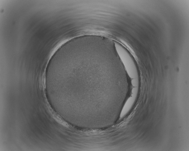 X0000083580891200702231652