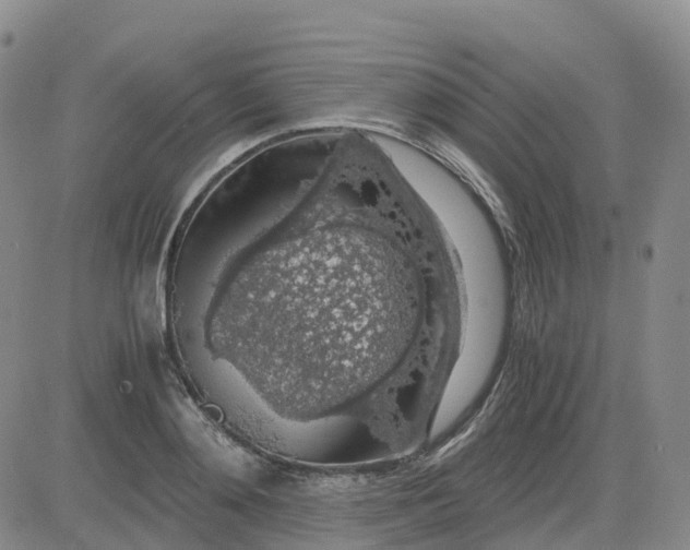 X0000083580892200702231652