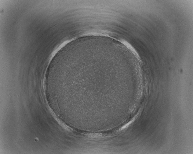 X0000083580893200702231652