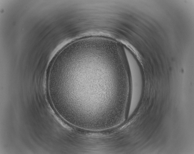 X0000083580894200702231652