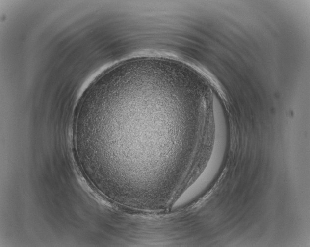 X0000083580896200702231652