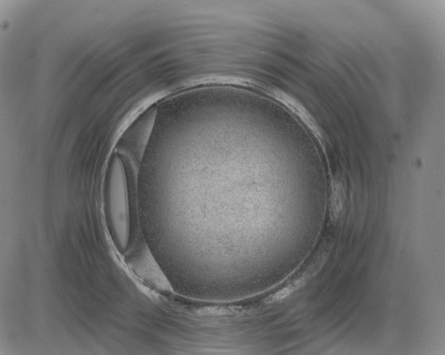 X0000083580898200702231652