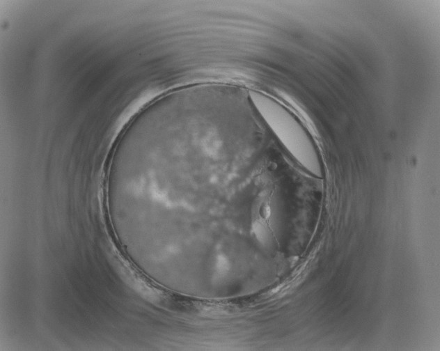 X0000083580899200702231652