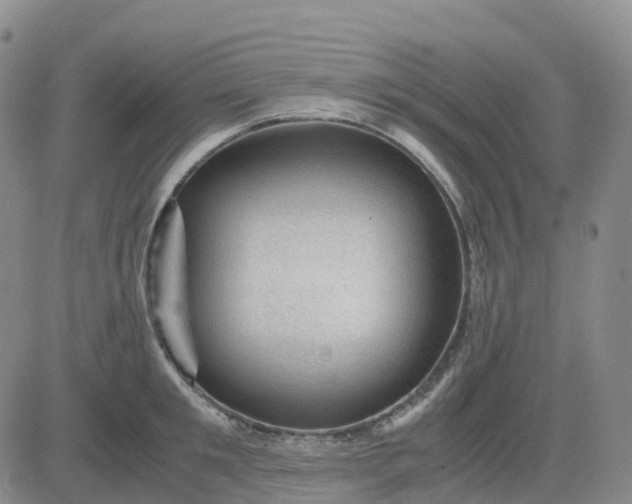 X0000083580901200702231652