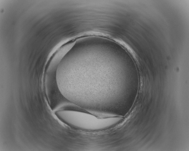 X0000083580902200702231652