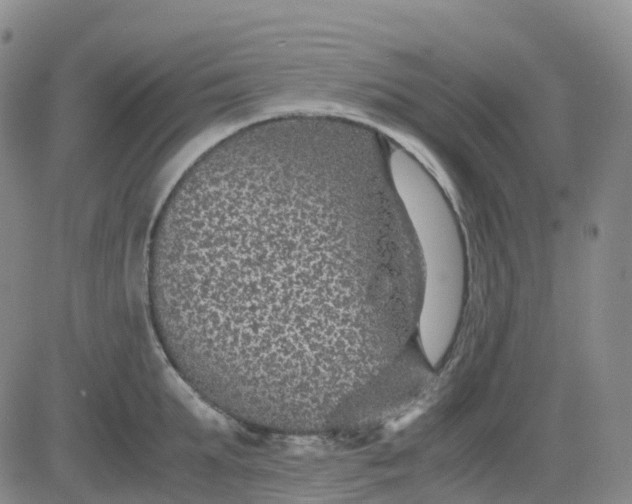 X0000083580903200702231652