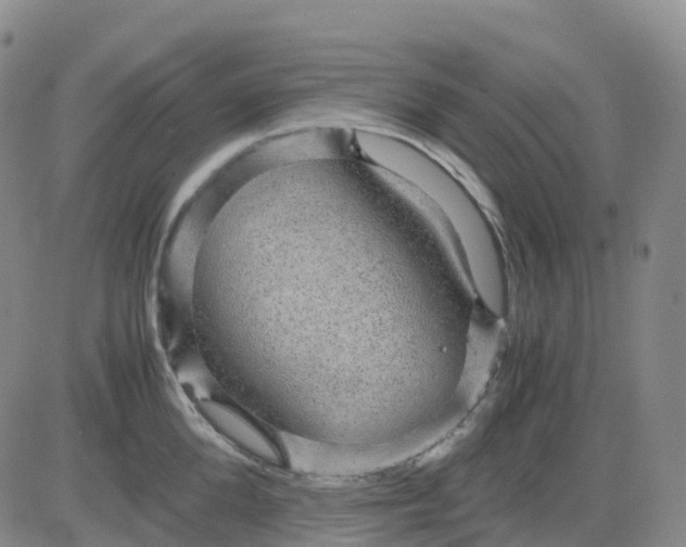 X0000083580904200702231652