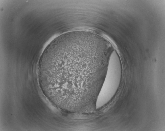 X0000083580907200702231652